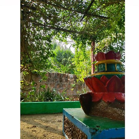 Cockerel Homestay - Traditional Beach Village - Goa 卡纳科纳 外观 照片