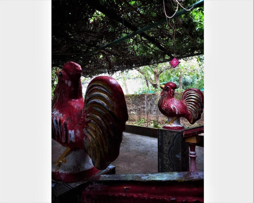 Cockerel Homestay - Traditional Beach Village - Goa 卡纳科纳 外观 照片