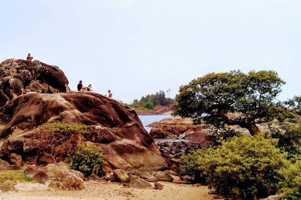 Cockerel Homestay - Traditional Beach Village - Goa 卡纳科纳 外观 照片