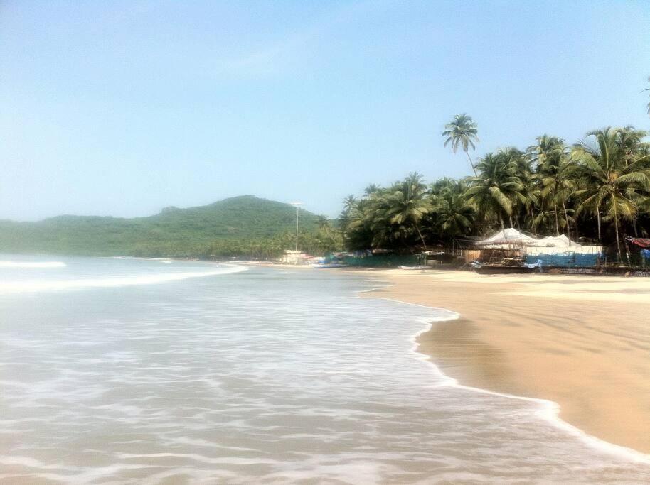 Cockerel Homestay - Traditional Beach Village - Goa 卡纳科纳 外观 照片