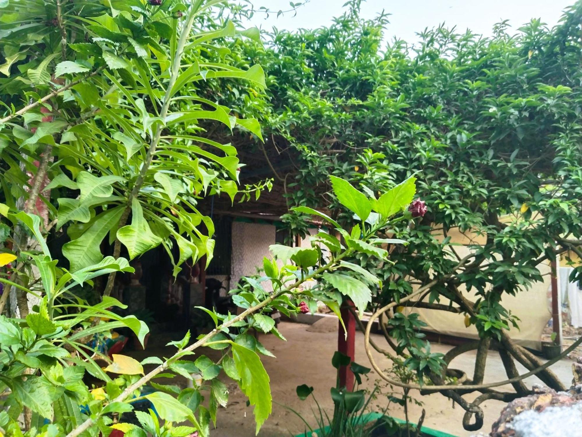 Cockerel Homestay - Traditional Beach Village - Goa 卡纳科纳 外观 照片